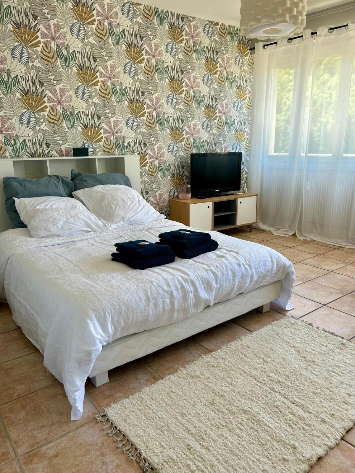 Studio Cosy De 30 M2 Au Coeur Des Thermes Royat Buitenkant foto
